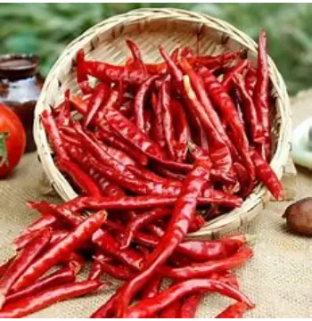 Fresh Dry Red Chilli